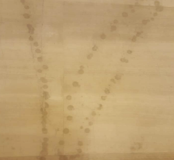 瓷磚打磨拋光保養(yǎng)怎么做？